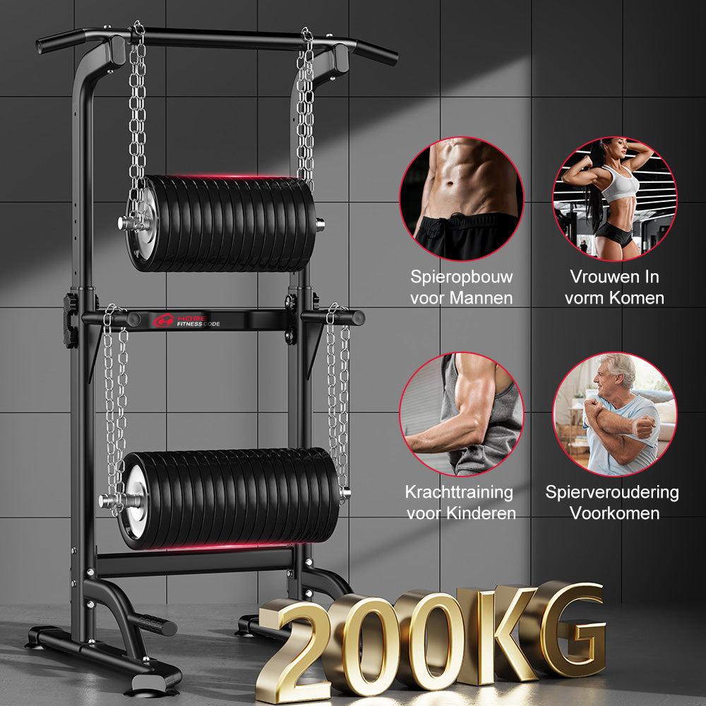Power Tower Dipstation D1