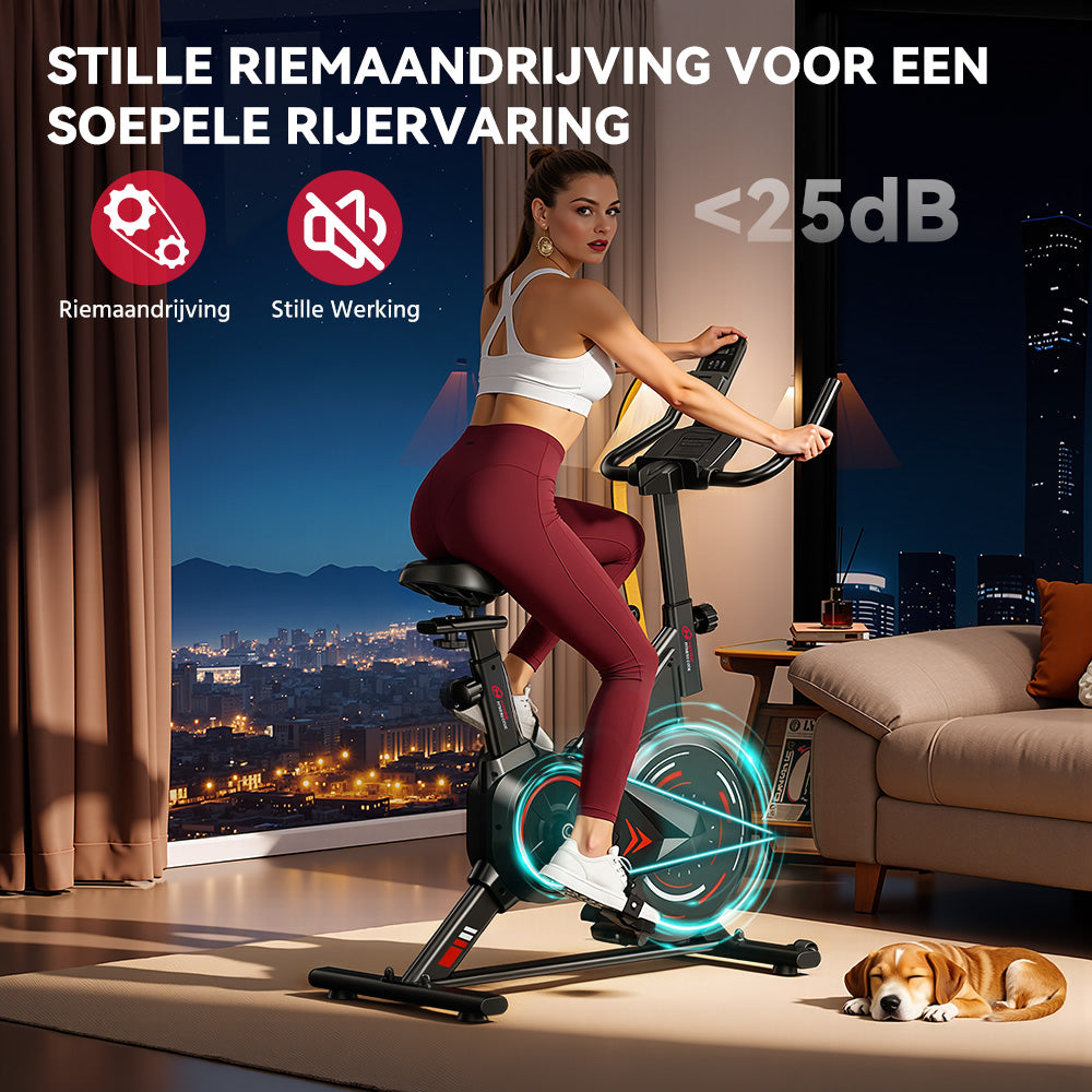Stationaire Hometrainer C1, Vliegwiel 6 kg