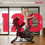 Stationaire Hometrainer C1, Vliegwiel 6 kg