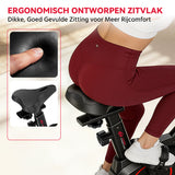 Stationaire Hometrainer C1, Vliegwiel 6 kg