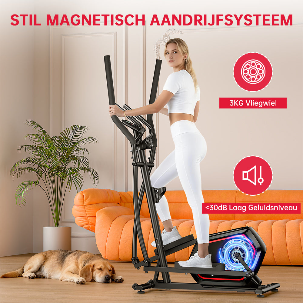 Elliptische Machine E200, 16-Niveau Magnetische Weerstand
